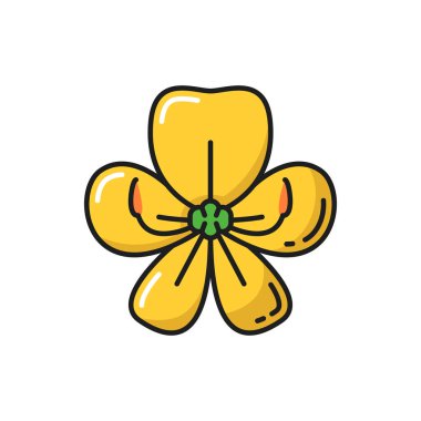 Altın duş çiçeği Cassia Fistula sarı çizgi ikonunu izole etti. Vektör Thai çiçeği, altın duş çiçeği, botanik süslemesi, bitki. Asyalı cırcır böceği doğal bahar ya da yaz çiçekleri