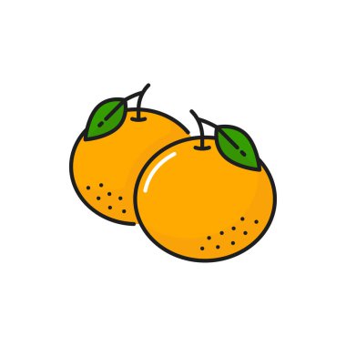 Yeşil yapraklı Çin portakallı yeni yıl meyveleri izole çizgi ikonu. Vektör egzotik tropikal yiyecek tatlısı, sulu sağlıklı atıştırmalık. Clementine mandarin narenciye, mandalina limonata malzemesi.