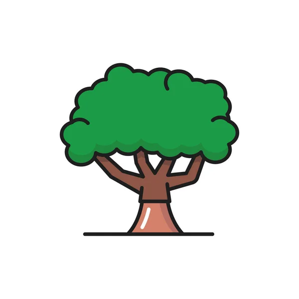 広い幹と葉の緑の冠を持つ緑のオリーブの木は フラットラインアイコンを隔離しました オリーブ植物オブジェクトのベクトルプランテーション 葉を持つ枝 古代のオーク ヴィンテージの森や木の植物 — ストックベクタ