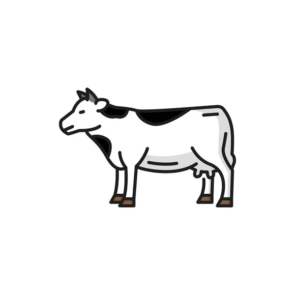 Kráva Hospodářských Zvířat Izolované Skvrnité Hovězí Hovězí Izolované Ploché Čáry — Stockový vektor