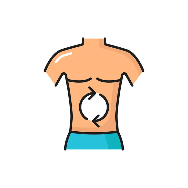 Buena Digestión Cuerpo Humano Concepto Salud Aislado Icono Línea Color — Vector de stock