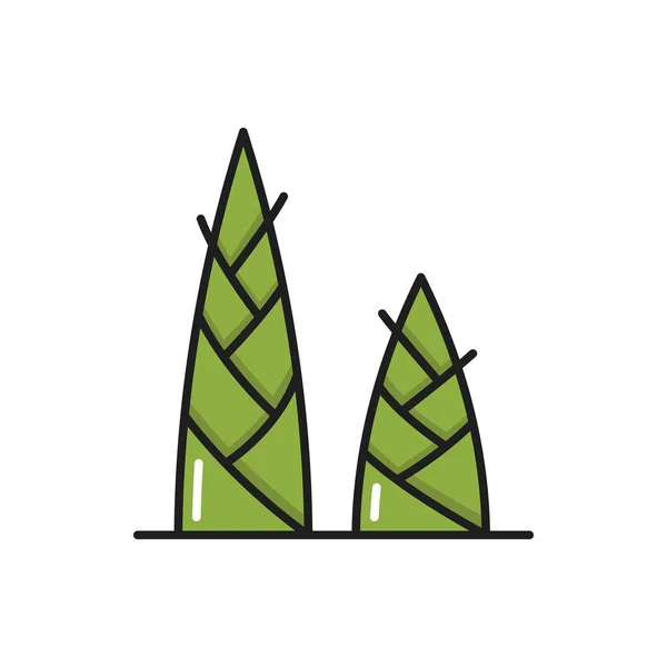 Φύτρα Από Πράσινο Μπαμπού Φυτό Απομονωμένο Εικονίδιο Γραμμή Χρώματος Διάνυσμα — Διανυσματικό Αρχείο