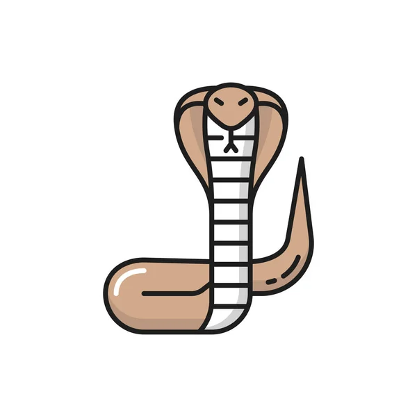 泰国国王眼镜蛇孤立的彩色线条图标 泰国产的病媒有毒爬行无脊椎动物 有色毒蛇或响尾蛇 那加曼巴眼镜蛇 带舌头的蛇 — 图库矢量图片