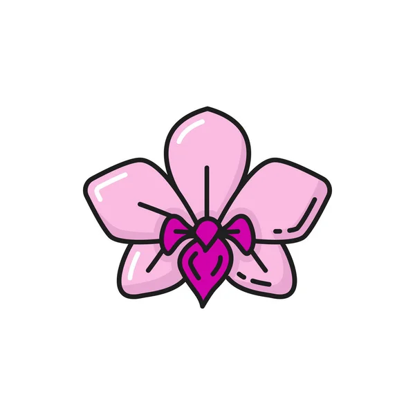 Rosafarbene Orchideenblume Nationalpflanze Thailands Isolierte Farblinie Symbol Vector Thai National — Stockvektor