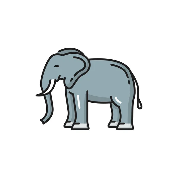 Thailand Djur Vit Elefant Isolerad Färg Linje Ikon Vektor Afrikansk — Stock vektor