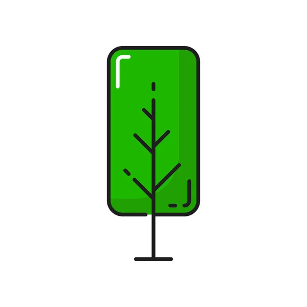 Зеленая Береза Выделила Тонкую Иконку Линии Векторный Природный Ботанический Контур — стоковый вектор
