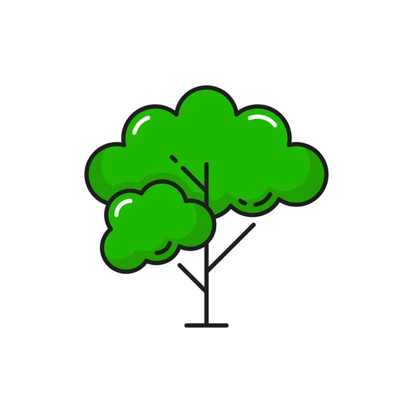 Дерево Ветвями Зелеными Листьями Изолированная Тонкая Линия Значок Векторные Дикие — стоковый вектор