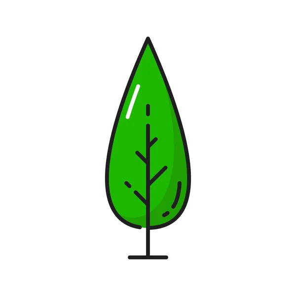 Árbol Con Ramas Hojas Verdes Aisladas Delgada Línea Plana Icono — Vector de stock