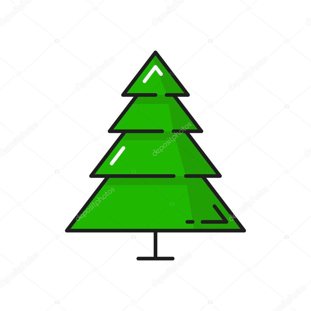 Spruce isolated outline pine fir tree line art icon. Vector evergreen fir-tree, undecorated Christmas holidays symbol. Large forest plant with needles, nature, garden architecture landscape element