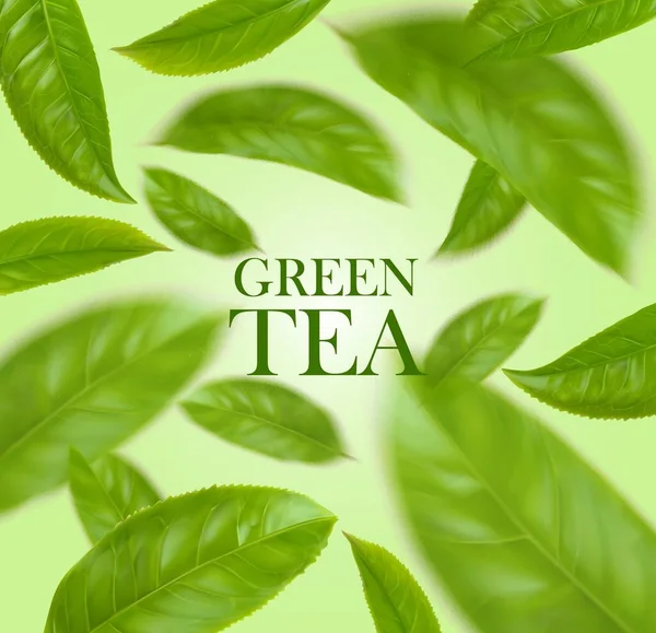 Green Tea Leaves Herbal Background Realistic Vector Green Tea Leaf — Stock Vector