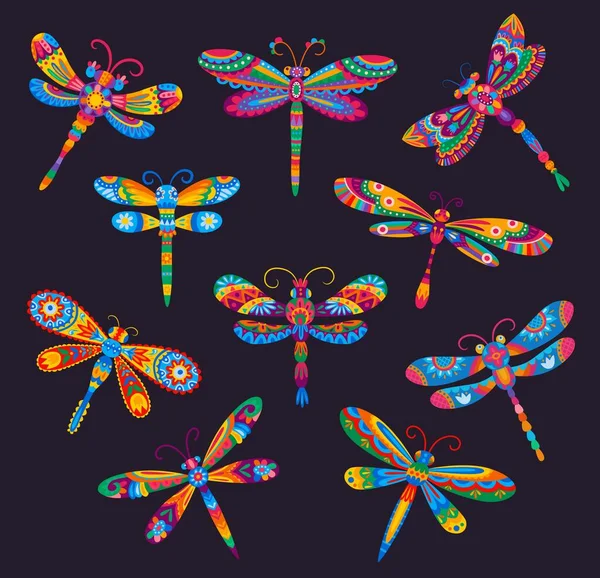นการ นแมลงปอสดใสก บเคร องประด บดอกไม ชาต แมลงเวกเตอร บนพ นหล กและร — ภาพเวกเตอร์สต็อก