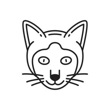 Siyam kedisi sevimli yüzü ince çizgi ikonunu izole etti. Komik komik kedi kafası portresi, bıyıklı ve kulaklı Tayland kedisinin kürk surat portresi, Tayland kedisi evcil hayvan kafası.