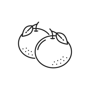 Mandarin portakalları Çin Yeni Yıl bayramı meyveleri ince çizgi ikonu. Vector clementine mandarin narenciye, mandalina limonata malzemesi. Egzotik tropikal yemek tatlısı, sulu sağlıklı atıştırmalık.