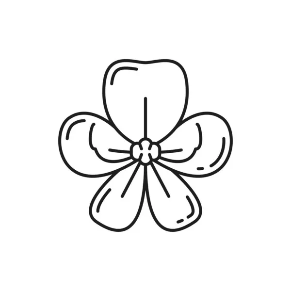 Cassia Fistula Nationale Blume Thailands Isolierte Thailändische Blüte Dünne Linie — Stockvektor