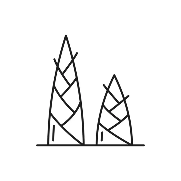 竹笋或竹笋孤立的细线图标 向泰国菜 新鲜泰国菜配料轮廓符号 素食小吃 健康竹笋或根 亚洲植物 — 图库矢量图片