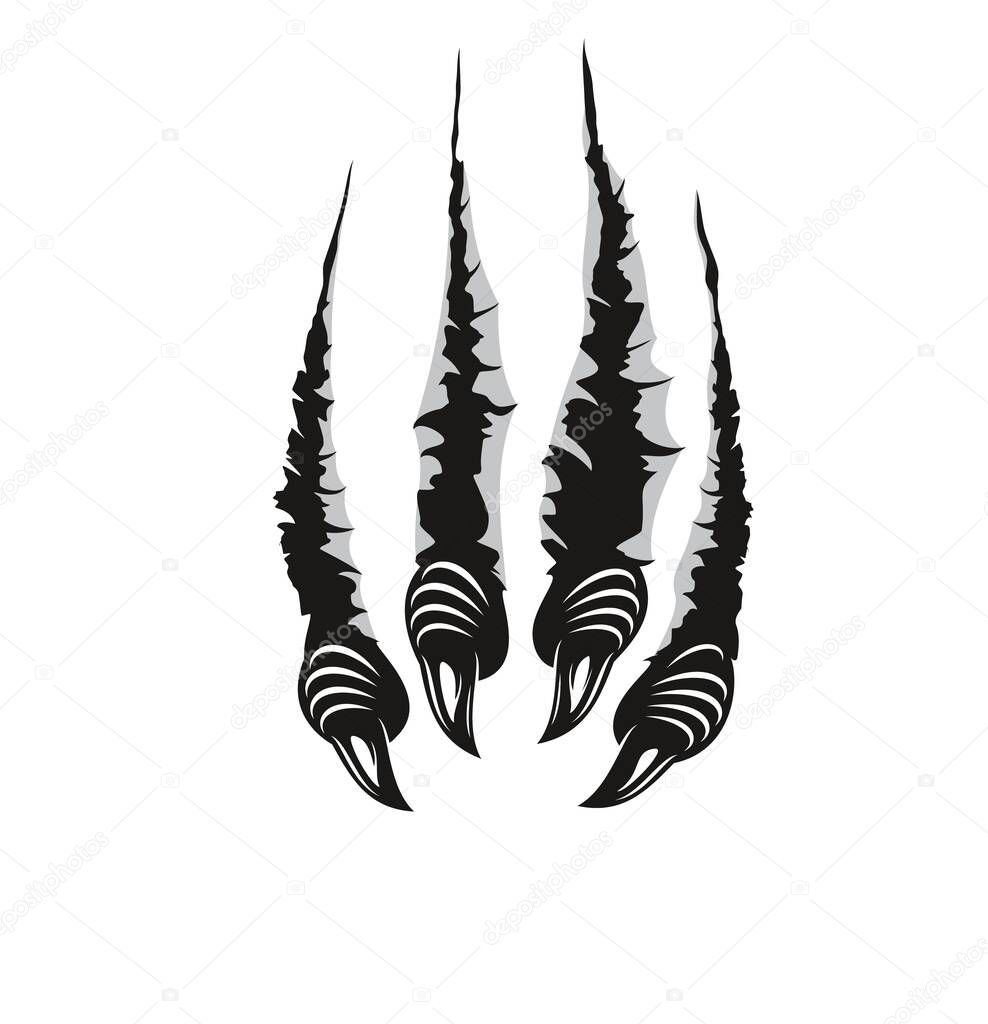 Monster claw marks, scratches of dragon fingers with long nails tears through paper or wall surface. Vector wild animal rips, paw sherds, beast break, four talons traces isolated on white background