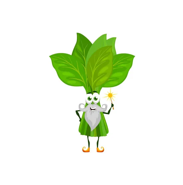 卡通绿色菠菜魔法师或魔法魔杖蔬菜 具有金色魔杖的童话魔法师或菠菜魔术师的矢量卡通人物 — 图库矢量图片