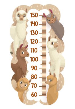 Lama, alpaka, guanaco ve vicuna karikatür vektör hayvanlı boy cetveli. Komik lama kuzuları, alpaka ve guanaco ile çocukların boy ölçü cetveli