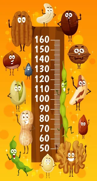 Kinder Höhendiagramm Mit Lustigen Nüssen Und Samen Zeichen Vektorwachstumsmesser Kindermaßstab — Stockvektor