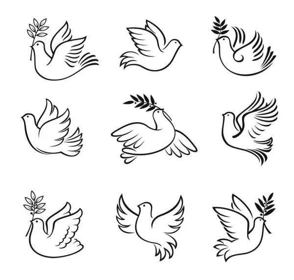 圣诞鸽子 圣诞鸽子的矢量轮廓 和平的小鸟 希望和爱 有橄榄枝的圣诞鸽子 基督教圣诞节的象征 — 图库矢量图片