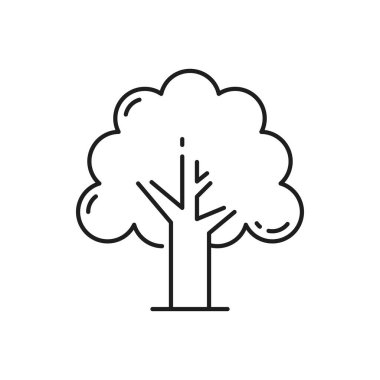 Orman ormanı, tropikal park ağacı izole edilmiş ince çizgi ikonu. Vektör ağacı peyzajı çevre koruma elementi. Egzotik bitki, bahçe dekorasyonu, elle çizilmiş bahar veya yaz tropik bitkisi