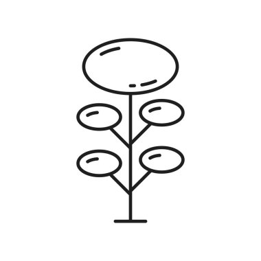 Geometrik oval şekiller ağacı ve ince çizgiler izole edilmiş dış hat ikonu. Vector orman bitkisi, manzara ve bahçe mimarisi. Bahar ya da yaz dekoratif ağaç, ekoloji ve doğayı kurtarma