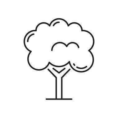 Tropikal orman nesnesi ince çizgi simgesini izole etti. Vektör çevre koruması, manzara mimarisi egzotik ağaç. Egzotik sahil bahçe dekorasyonu elementi, ağaç baharı veya yaz nesnesi