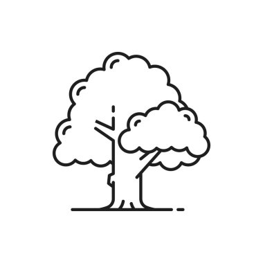 Geniş kaplama ağaç, bahçe bahçesi tabelası, Almanya 'da tarla meyvesi, ince çizgi ikonu. Vektör botanik ilkbahar ya da yaz dekoratif nesnesi. Orman parkı manzarası ve bahçe mimarisi.