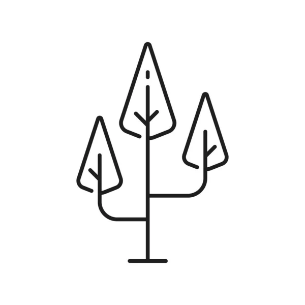 Resumen Planta Del Bosque Árboles Con Forma Triángulo Corona Aislado — Vector de stock