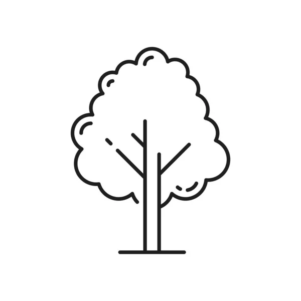 Park Strom Izolované Tenké Linie Džungle Zahradní Rostlina Obrys Lesní — Stockový vektor