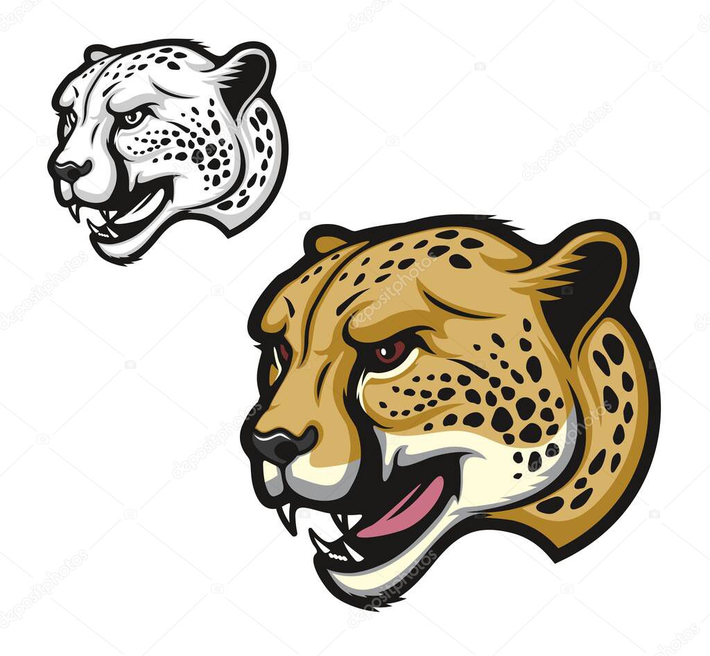 Angry cheetah cartoon animal mascot, roaring wild cat head, vector character. School sport team or university football or soccer club symbol of cheetah a with fierce fangs. Cartoon beast