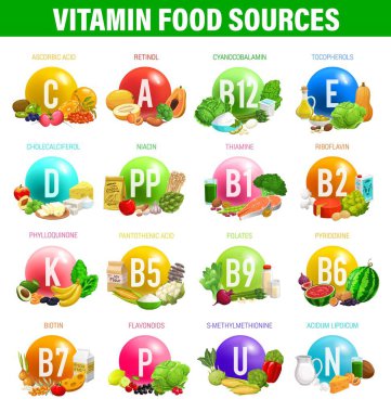 Beslenme vektörü bilgisinde vitamin ve mineral besin kaynakları. Sağlıklı meyve ve sebzeler, vitaminli diyet tablosu D, C, B, antioksidan ve organik minerallerin diyet besin faydaları
