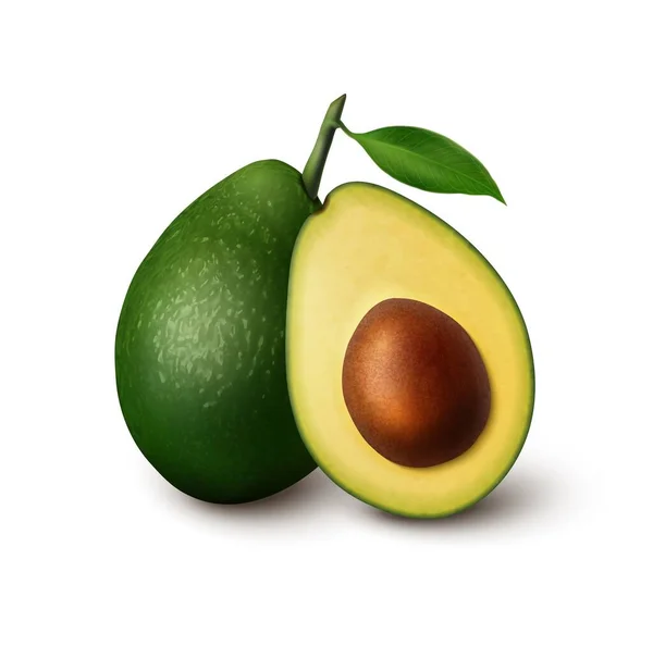 Realistische Isolierte Grüne Avocadofrucht Ganze Und Halb Geschnittene Frucht Vektorfrischer — Stockvektor