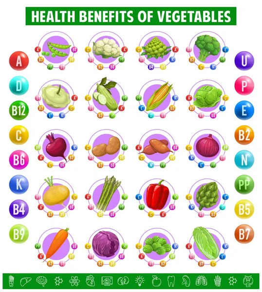 Chart Table Content Vitamins Minerals Vegetables Green Peas Cauliflower Artichoke — Stock Vector