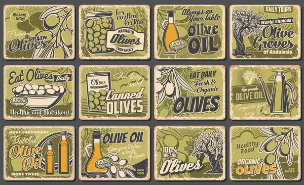Olijfolie Olijven Retro Posters Biologisch Natuurlijk Voedsel Vector Spaanse Olijven — Stockvector