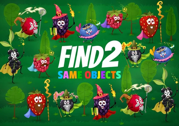 Find Two Same Berry Wizard Mage Warlock Fairy Characters Vector — Stockvector