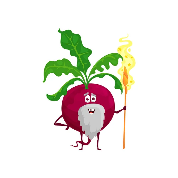 Cartoon Beetroot Wizard Character Vector Senior Magician Vegetable Grey Beard — Stock Vector
