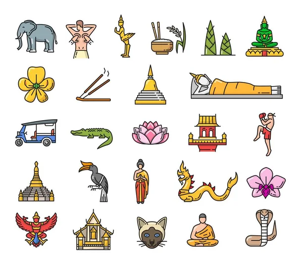 泰国的地标 文化和宗教线图标 泰国的建筑 宗教和自然符号勾勒出带有动物 花卉和食物 龙和庙宇 泰拳的矢量图标 — 图库矢量图片