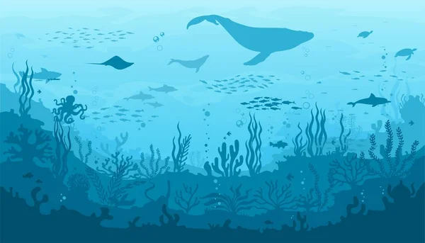 Oceaan Onderwater Landschap Zeewier Rif Visschool Walvis Silhouet Zeebodemlandschap Achtergrond — Stockvector