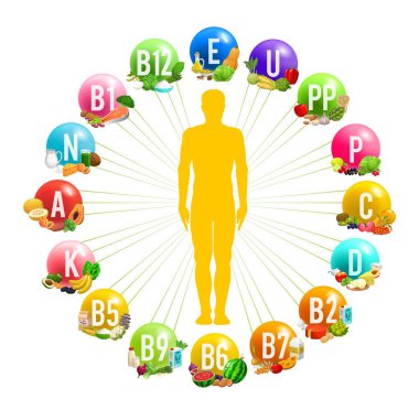 İnsan vücudu, vitamin ya da mineral kaynağıyla bilgi grafiklerini çember yapın. İnsan silüeti, temel vitaminler ve gıda ürünlerindeki mineraller ile sağlıklı beslenme ve diyet vektör şeması