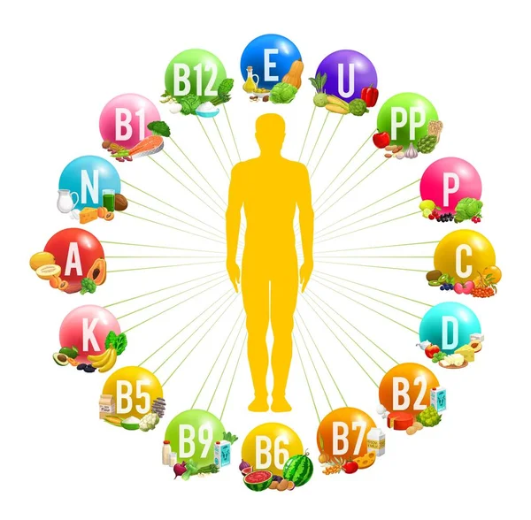 Diagrama Infografías Círculo Con Cuerpo Humano Las Vitaminas Fuentes Minerales — Vector de stock