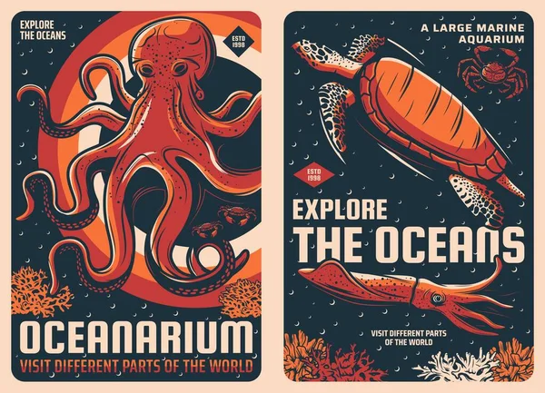 Octopus Squid Sea Turtle Crab Retro Vector Posters Oceanarium Ocean — Stock Vector