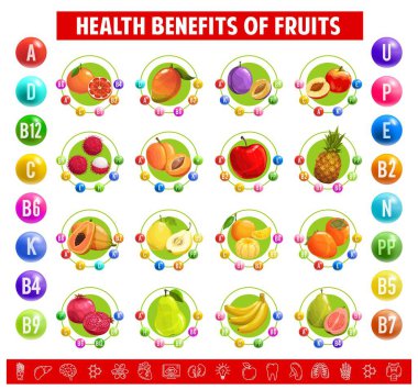 Meyvelerde vitamin ve mineral tablosu. Greyfurt, mango, erik ve şeftali, rambutan, kayısı ve elma veya ananas. Papaya, armut ve nar, guava ve muzlu mandalina.