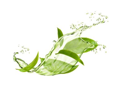 Bitkisel içecek, yeşil çay yaprakları ve su akıntısı ile su sıçratır. Suda yeşil yapraklar ve sıçramalar olan 3 boyutlu vektör organik içecek reklamı. Taze bitki, doğal aroma çayı.