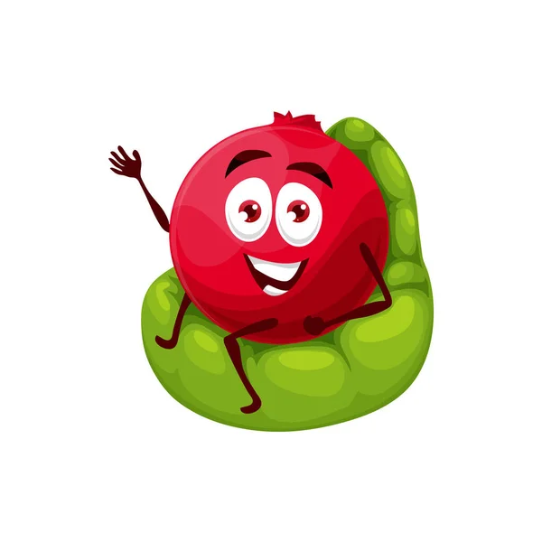 Cheerful Cartoon Cranberry Sitting Inflatable Chair Vector Fresh Berry Character — Stock Vector