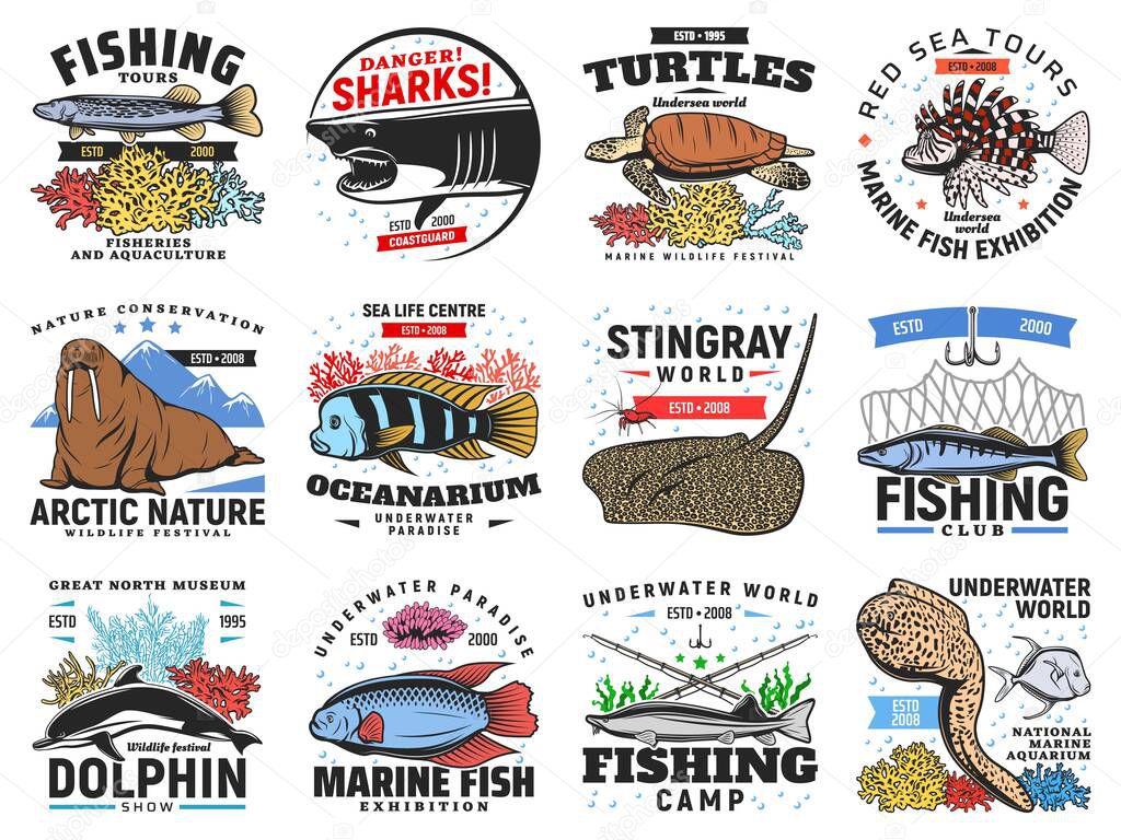 River and ocean fishes, sea animals icons set. Pike, cichlid and sterlet, turtle, dolphin and moray eel, lionfish, stingray and shark, walrus retro vector. Fishing and travel tours, exhibition badges
