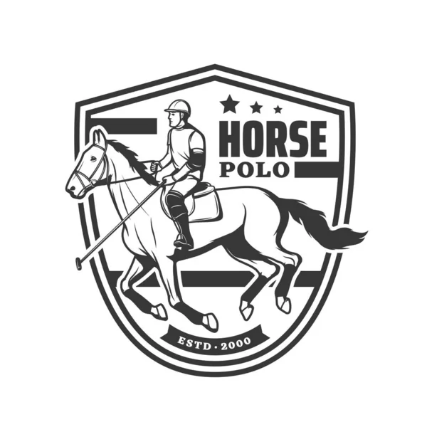 Horse Polo Sport Equestrian Game Vector Player Jockey Horseback Rider — Stock Vector