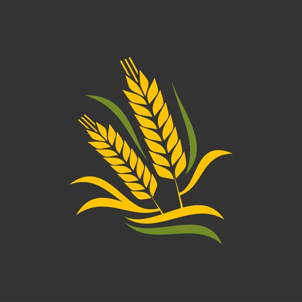 Getreideohr Und Dorn Getreideernte Brot Und Konditorei Vektor Symbol Oder — Stockvektor