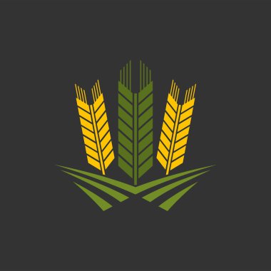 Mısır gevreği kulağı ve buğday başağı grafik ikonu. Tarım ve ekinler çavdar, arpa ya da pirinç kulaklı izole edilmiş yiyecek ikonu, darı sapı. Mısır gevreği hasadı, bira içme rozeti ya da sembol