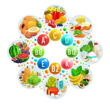 Vitamin ve mineral kaynakları. Meyve, sebze ve fındık. Kurutulmuş meyveler, süt ürünleri, süper yiyecekler ve sebzelerle ilgili bilgi çemberi oluşturun. Multivitaminlerle sağlıklı ve doğal gıda beslenme planı